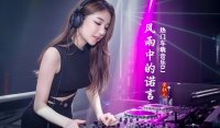 10万首车载劲爆DJ音乐 车载u盘必备曲库